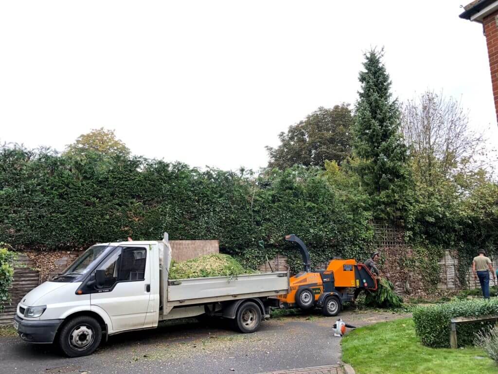 Kerry Tree Specialists at a job clearing overgrown hedges