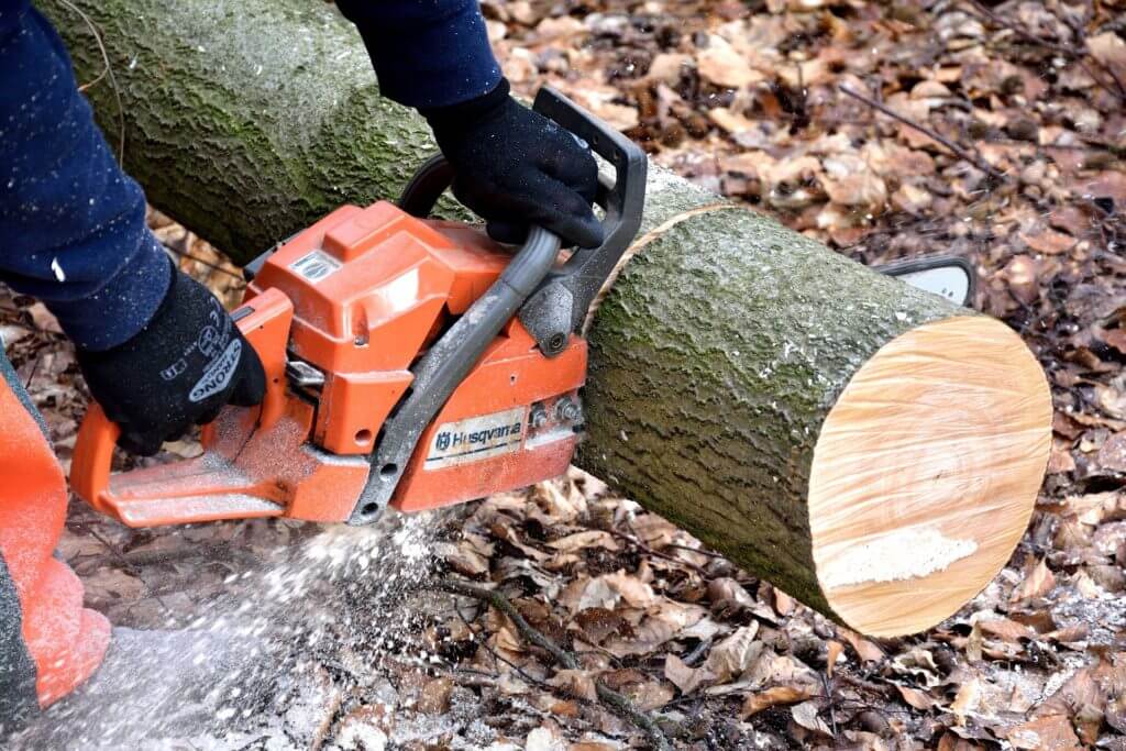 cutting logs of wood using a powerful chainsaw